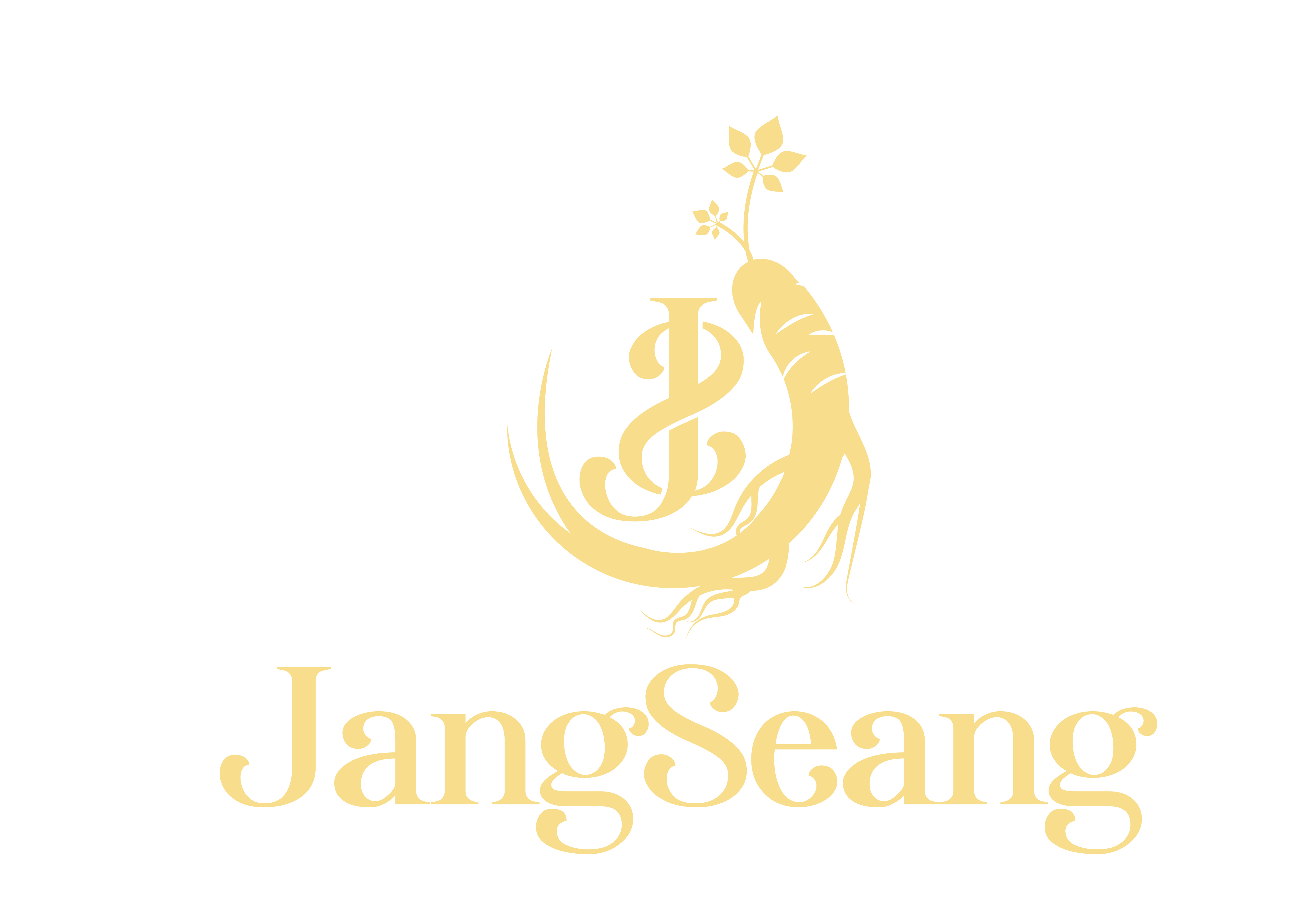JangSeang Mart | Sâm thượng hạng Hàn Quốc